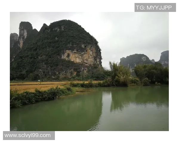 《从贫民窟到绿茵场王者：一位足球天才的逆袭传奇》