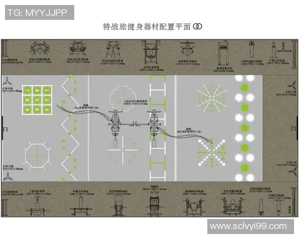 中国足球球星肌肉塑造之路：健身训练与体能提升的成功案例分析
